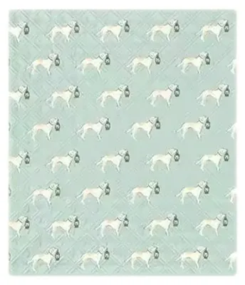 Image de Couverture de camping Naturehike Adventure Companion S CNK2350WS010 170 x 145 cm, verte