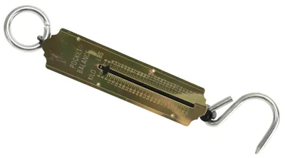 Zdjęcie produktu dla MASTERPROOF Federwaage 0...100 kg