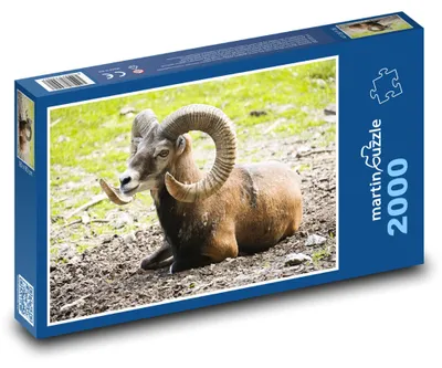 Obrázek produktu pro martinpuzzle - Puzzle 2000 - Muflon