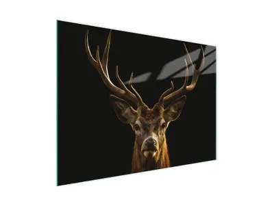 Immagine prodotto di Tagliere Piastra copriforno Tagliere multiglass 30x22 cm Cervo Nero