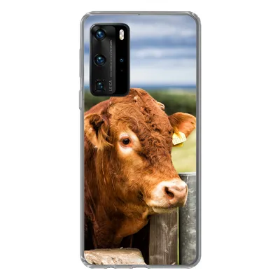 Produktbild von MuchoWow® Handyhülle Schutzhülle Hülle für Huawei P40 Pro Schottischer Highlander - Berg - Zaun Silikon Softcase Handy Hülle - Schutz