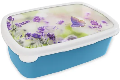 Produktbild von KitchenYeah® Lunchbox Brotzeit Brotdose 17x11 cm Lavendel - Schmetterling - Blumen Kinder Brotzeitdose - Lunch - Kunststoff  - Brotbüchse - Sandwichbox - Lunchbox für Kinder