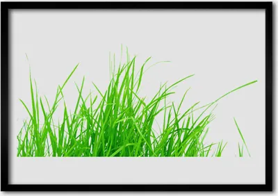 Produktbild von Bild 100x70 MDF-Rahmen Wandkunst Graspflanze