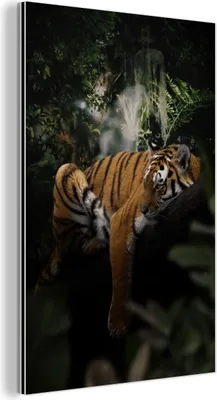 Produktbild von MuchoWow Wanddekoration Metall Metallbild Wandkunst 60x90 cm Tiger - Dschungel - Baum MuchoWow Aluminium Gemälde - Wandbilder - Aluminium