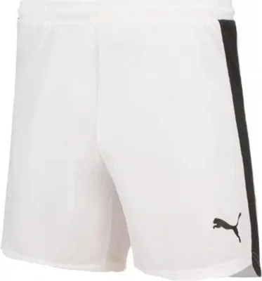 Produktbild von Shorts Herrenshorts Puma EvoSpeed Indor