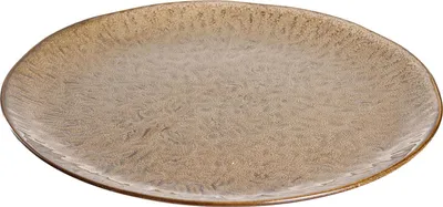 A single ceramic plate shown from a slightly elevated side angle against a white background.