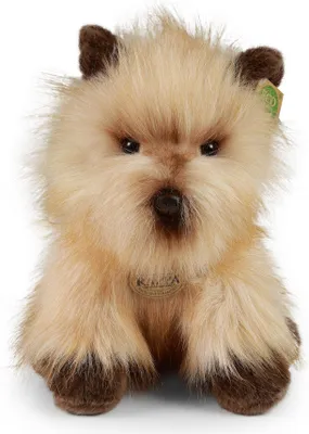 Immagine prodotto di Peluche Cairn Terrier 30 Cm Ecologico