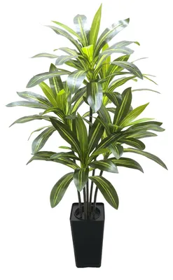 Obrázek produktu pro Umělá rostlina dračí strom – Vysoká umělá rostlina 150 cm v květináči – Velká tropická yucca, pokojová rostlina – Vhodná do obývacího pokoje, kanceláře, jako dekorace – Zelená