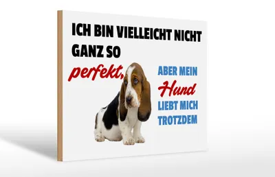Produktbild von Holzschild Spruch 30x20cm mein Hund liebt mich trotzdem