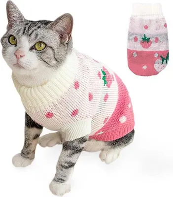 Produktbild von Famanu Katzenpullover mit Erdbeermuster - Winterwärme