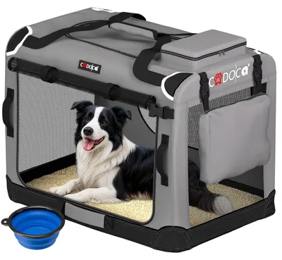 Imagen del producto de Caja de transporte plegable para gatos y perros, tamaño XL