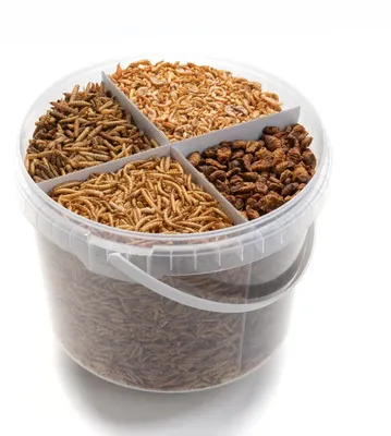 Productafbeelding van Koi traktatiemix met 4 insectensoorten 5 liter | 900 gram