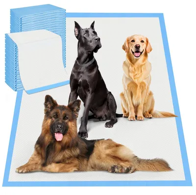 Produktbild von Hochabsorbierende Trainingsunterlagen für Hunde