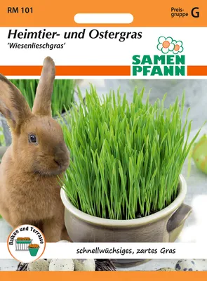 Artikelbild 1 von 'Heimtier - und Ostergras' aus der Kategorie Kleintiersaaten