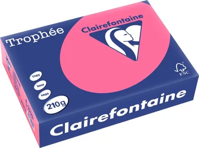 Produktbild von Kopierpapier Trophee A4 210g/qm VE=4x250 Blatt eosin