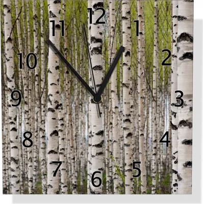 Produktbild von Wallario Design Wanduhr Birkenwald - Baumstämme in schwarz weiß aus Aluverbund, Größe 30 x 30 cm