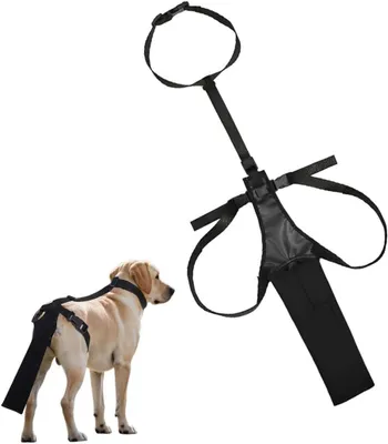 Produktbild von Hundeschutz Schwimmschutz, verstellbare Schwanzabdeckung, für Haustiere, leicht, robust, für Hunde