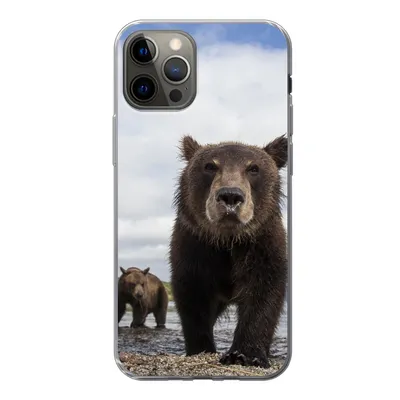 Produktbild von MuchoWow® Handyhülle Schutzhülle Hülle für iPhone 12 Pro Bär - Küste - Wasser Silikon Softcase Handy Hülle - Abdeckung