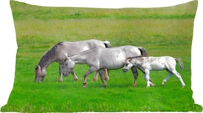 Produktbild von MuchoWow® Zierkissen Sofakissen Wohnzimmer Dekokissen 60x40 cm Pferde - Tiere - Gras - Kopfkissen - Polster mit Foto