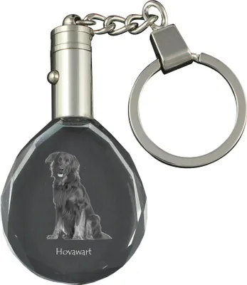 Produktbild von Hovawart - Anhänger mit einem Foto eines Hundes, Schlüsselanhänger aus Kristall in einer Geschenkbox, ein einzigartiges Geschenk von Art-Dog