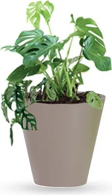 Produktbild von Blumentopf Blumenkübel TUBUS DTUB400 ⌀40cm Mocca