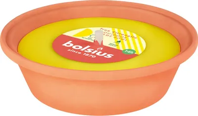 Productafbeelding van Bolsius Vlammenbak Citronella - 6 cm / diameter 23 cm