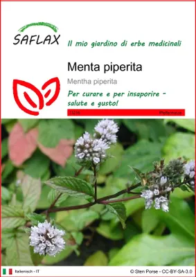 Immagine prodotto di SAFLAX  - Menta piperita - 300 semi - Mentha