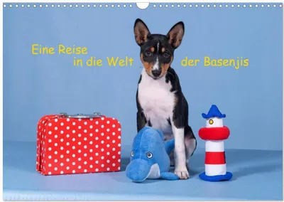 Produktbild von Eine Reise in die Welt der Basenjis (Wandkalender 2027 DIN A3 quer), CALVENDO Monatskalender