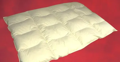 Produktbild von Betten Hofmann 4-Kammer Bettdecke Federbett Steppbett Winterdecke 135x200 cm 1400g 30% Daunen