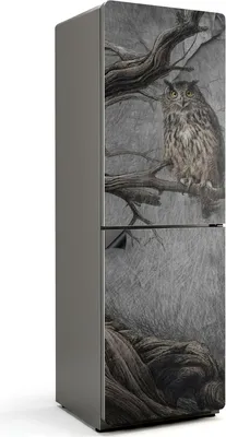 Obrázok produktu pre Sova na vetve v lese - Magnetický kryt chladničky - Magnetická dekoratívna fólia do kuchyne - Magnetická dekorácia na chladničku - Samolepiaca magnetická tabuľa - Magnetická fólia na dvere chladničky - 60x180 cm