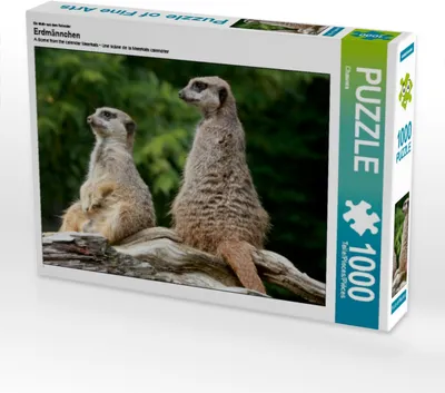 Produktbild von Calvendo Ein Motiv aus dem Kalender Erdmännchen 1000 Teile Puzzle quer 640x480mm, CALVENDO; 7322063