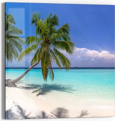 Produktbild von DEQORI Glasbild Echtglas 50x50 cm 'Paradiesischer Strand' Wandbild Bild modern Deko