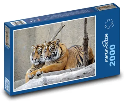 Obrázok produktu pre martinpuzzle – Puzzle 2000 – Sumaterský tiger
