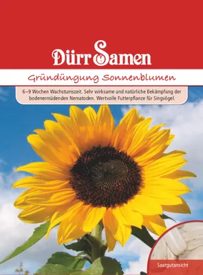 Produktbild von Gründüngung Sonnenblumen für 10 m² | Gründünger von Dürr Samen