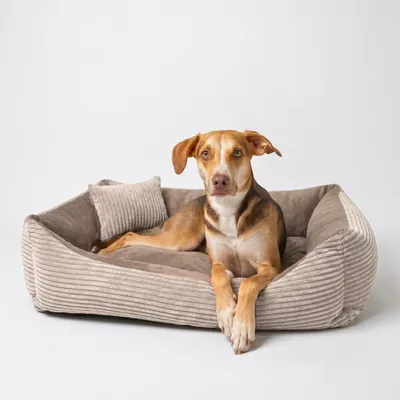 Produktbild von 4L Textil MOLLY Kuscheliges Cord Hundebett kleine Hunde Hundekorb Cord Hundekissen flauschig Hundekörbchen Cord (80x60 cm, Braun)