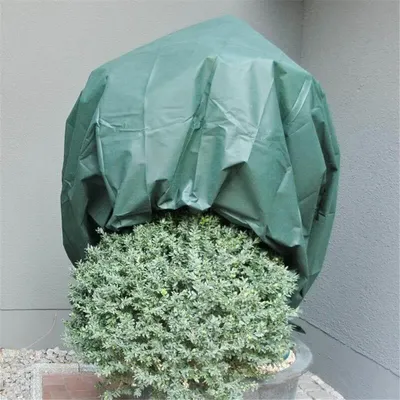 Produktbild von Noor Wintervlies 34g/m² 16 x 5m grün; 01115010WIGR