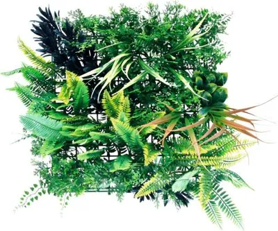 Produktbild von Künstliche Pflanzenwand Aurora 38 x 38 cm