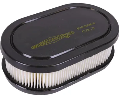 Immagine prodotto di Filtro aria per motori di tosaerba BRIGGS&STRATTON 798452, 593260
