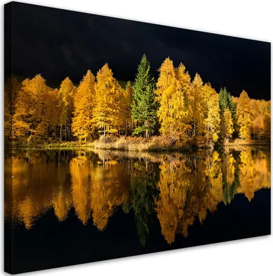 Produktbild von Leinwandbild Wald See Bäume Natur 90x60 Feeby Gelb bild für die wand bereit zum aufhängen