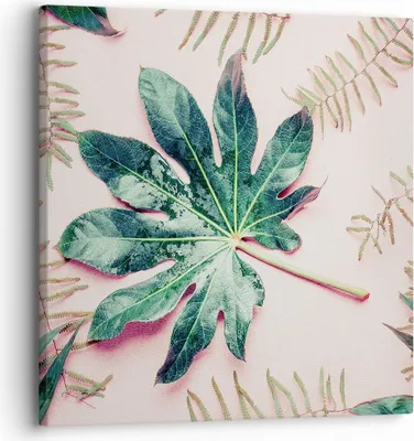 Produktbild von Bild auf Leinwand - Leinwandbild - Einteilig - Blatt Tropisch Palme - 30x30cm - Wand Bild - Wanddeko - Wandbilder - Leinwanddruck - Bilder - Wanddekoration - Leinwand bilder - Wandbild - AC30x30-4314