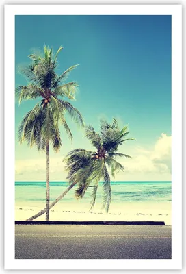 Produktbild von Poster - Poster ohne Rahmen - Auto Surfbrett Strand Ozean - 61x91,5 cm - Wand Bild - Wanddeko - Wandbilder - Kunstposter - Wandposter - Bilder - Kunstdruck - Wanddekoration - Wandbild P2XPA61x91-2835