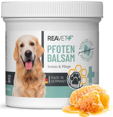 Produktbild von REAVET Pfotenbalsam Hund & Katze 120ml – Natürliche Pfotenpflege mit Sheabutter, Kokosöl & Bienenwachs I Pfotenschutz Creme, Zubehör für Winter & Sommer