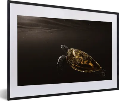 Produktbild von MuchoWow® Gerahmtes Poster Schildkröte - Schwarz - Gold 60x40 cm - Poster mit Schwarzem Bilderrahmen Wandposter Rahmen Foto Bilder - Schlafzimmer - Plakat in Rahmen - Drucken