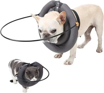 Image de Collier pour chiens malvoyants, dispositif de guidage, collier de protection contre les chocs