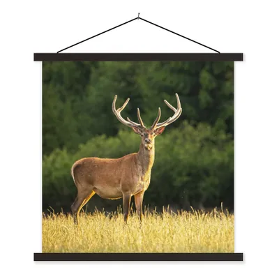 Produktbild von MuchoWow® Textilposter Hirsch - Geweih - Gras - Natur - Tiere - Grün 90x90 cm mit schwarzem Rahmen - Magnetisches