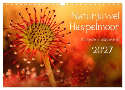 Produktbild von Naturjuwel Haspelmoor (Wandkalender 2027 DIN A3 quer), CALVENDO Monatskalender