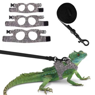 Image de Harnais pour reptiles de petite taille avec laisse
