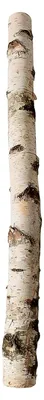 Produktbild von Birkenstamm Deko-Stamm 100 cm lang 6-10 cm Ø