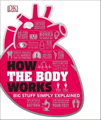 Zdjęcie produktu dla How the Body Works