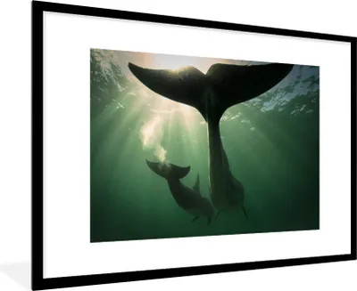 Produktbild von MuchoWow® MuchoWow® Gerahmtes Poster Delfin - Wasser - Blau 90x60 cm - Poster mit zchwarzem Bilderrahmen - Wanddekoration - Fotos